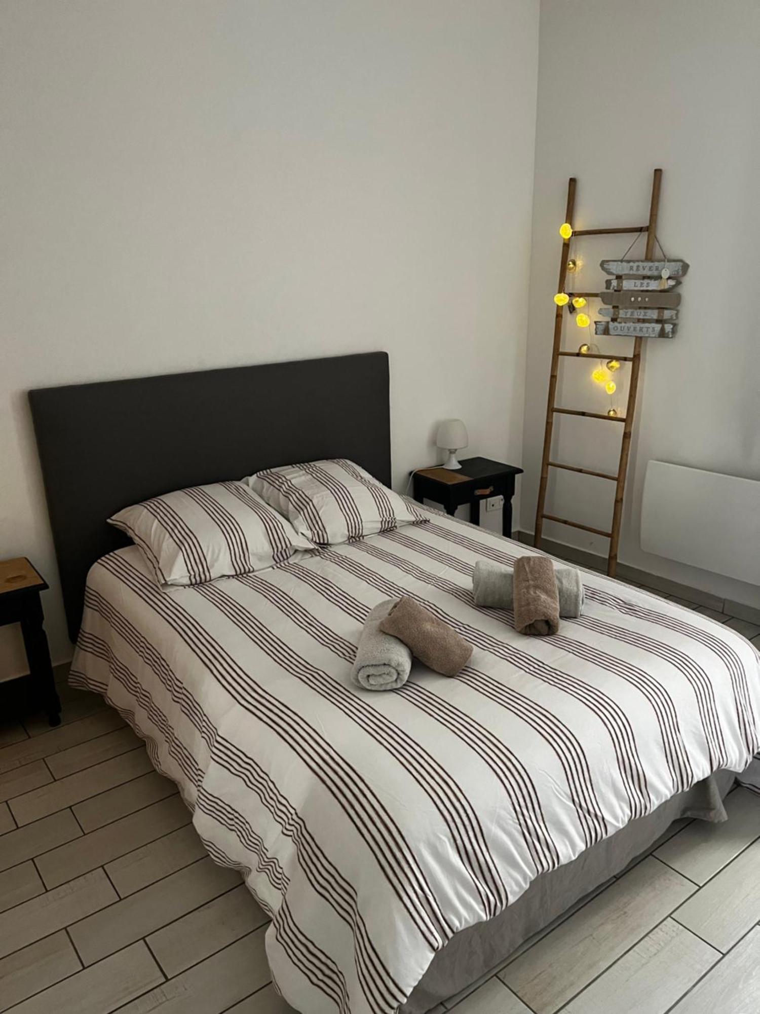 Joli Appartement Hypercentre T2, Classe Meuble De Tourisme 3 Avec Parking Gratuit Béziers Esterno foto